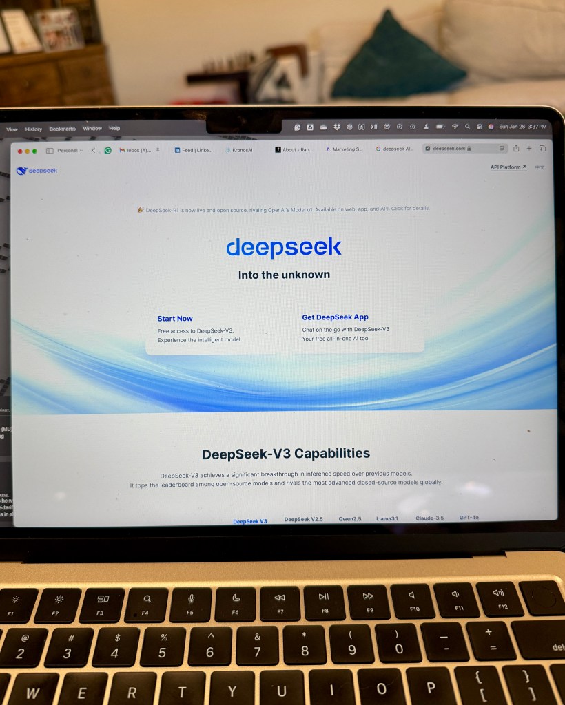 DeepSeek AI chat running on my MacBook Air